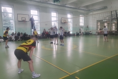 04-03-2025 Mistrzostwa Powiatu Malborskiego w Piłce Siatkowej chłopców i dziewcząt