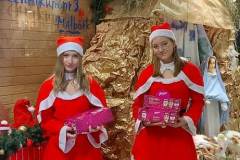 IMG-20231207-WA0013
