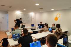 1-PRACA-Informatycy-i-programisci