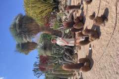 IMG_20230504_170538