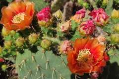 IMG_20230504_171356
