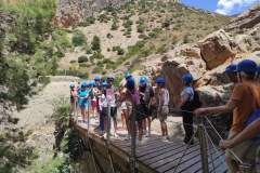 IMG_20230506_144626