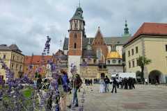 krakow_wycieczka24