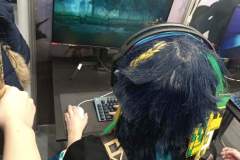 PGA65