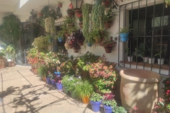 20-Mijas-taras-regionalnego-muzeum
